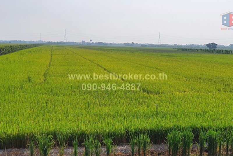BB055-005