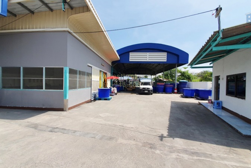 ขายที่ดินพร้อมโรงงาน710วาด้านหลังติดแม่น้_2