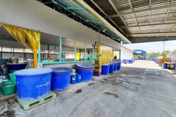 ขายที่ดินพร้อมโรงงาน710วาด้านหลังติดแม่น้_5