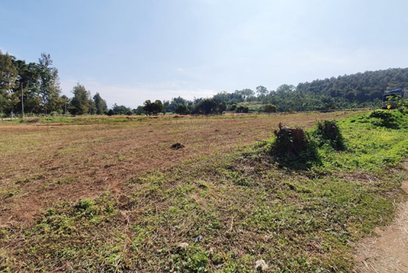 BB161ขายบ้าน2ชั้น3นอน2น้ำเนื้อที่ 25ไร่277วา_๒๒๑๑๒๑__5