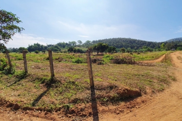 BB161ขายบ้าน2ชั้น3นอน2น้ำเนื้อที่ 25ไร่277วา_๒๒๑๑๒๑__4