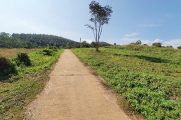 BB161ขายบ้าน2ชั้น3นอน2น้ำเนื้อที่ 25ไร่277วา_๒๒๑๑๒๑__6