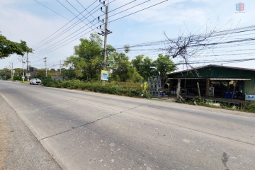 BB166, ขาย ที่ดิน 56 ไร่ 95 วา ติดถนน ทำเลดี จ.ปทุมธานี