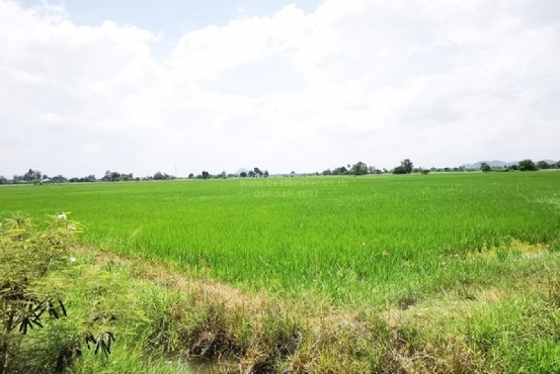 BB171ที่ดิน ราชบุรี 68ไร่_๒๓๐๕๓๐_5