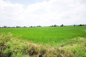 BB171ที่ดิน ราชบุรี 68ไร่_๒๓๐๕๓๐_5