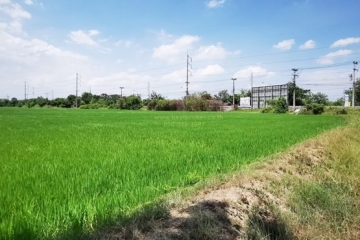BB171ที่ดิน ราชบุรี 68ไร่_๒๓๐๕๓๐_7
