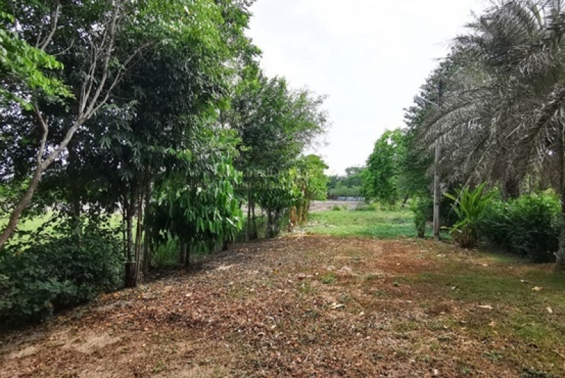 BB172ที่ดิน 51-0-68 ไร่ ฉะเชิงเทรา_๒๓๐๕๓๐_16