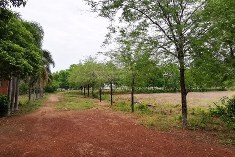 BB172ที่ดิน 51-0-68 ไร่ ฉะเชิงเทรา_๒๓๐๕๓๐_51