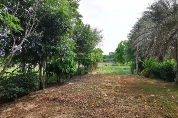 BB172ที่ดิน 51-0-68 ไร่ ฉะเชิงเทรา_๒๓๐๕๓๐_16