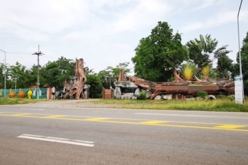 BB172ที่ดิน 51-0-68 ไร่ ฉะเชิงเทรา_๒๓๐๕๓๐_5