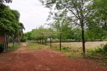 BB172ที่ดิน 51-0-68 ไร่ ฉะเชิงเทรา_๒๓๐๕๓๐_51