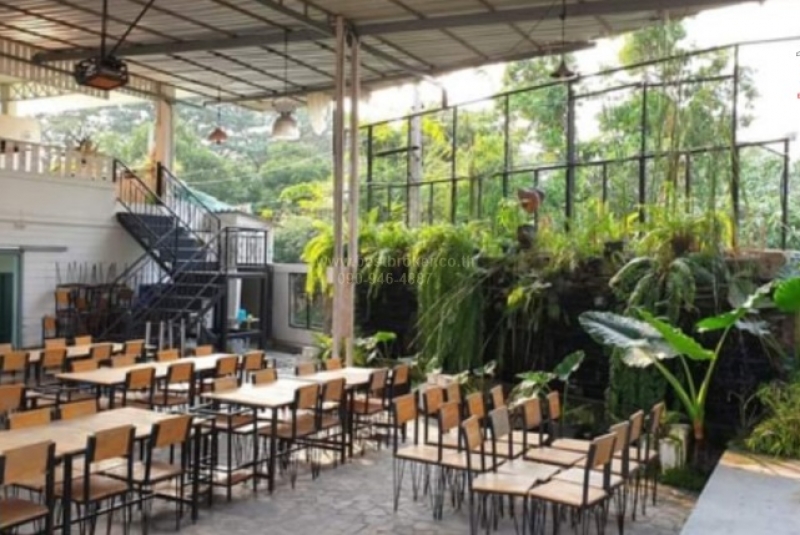 BB173ที่ดิน+ร้านอาหาร เฮียเก่ง 319 วา_๒๓๐๖๑๒_6