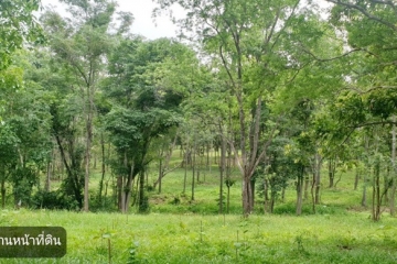 ขาย ที่ดิน 7 ไร่ 189 วา พร้อมอาคารบ้านพัก สวยร่มรื่น 
