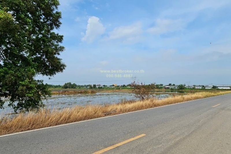 BB194ที่ดิน42-2-24ไร่ อยุธยา ใกล้ไฟฟ้าวังน้อย_๒๓๑๑๑_3