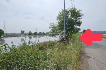 ขาย ที่ดิน 35 ไร่ 49 ตร.ว. ติดถนนซอย ทำเลดี อยุธยา 