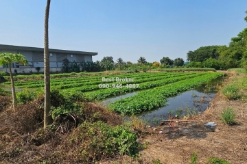 BB204-2LINE_ALBUM_ที่ดิน 1-2-50 ไร่ ศาลายา_๒๔๐๓๑๓_1