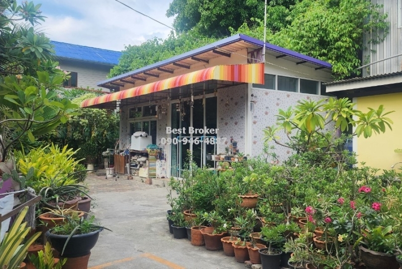 BB210LINE_ALBUM_ขายที่ดิน4ไร่206วาติดถนน.รัตนาธิเบศร์ทำเลเหมาะกับ_240611_3