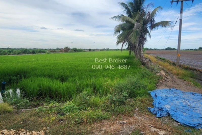 BB218LINE_ALBUM_ขสยที่ดิน8ไร่230วาใกล้วีดไผ่โรงวัว_240724_6