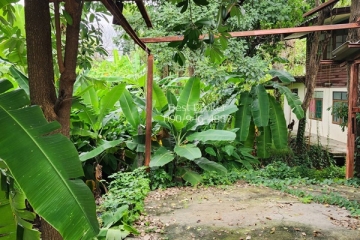 BB221.1539686