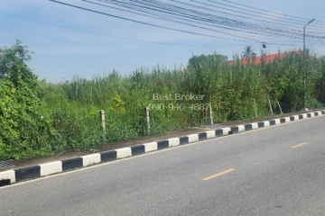 ขายที่ดิน 38-0-81 ไร่ บางแก้ว ใกล้ถนนเพชรเกษม  