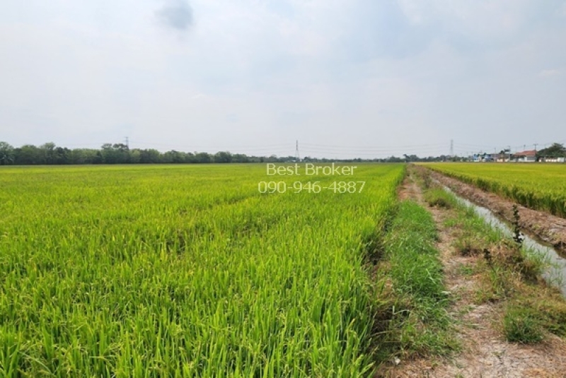 BB225LINE_ALBUM_ขายที่ดิน50ไร่85วาวัดทุ่งเกวียนอ.ลาดหลุมแก้ว_250318_10