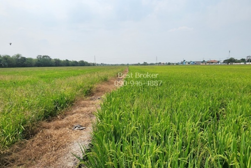 BB225LINE_ALBUM_ขายที่ดิน50ไร่85วาวัดทุ่งเกวียนอ.ลาดหลุมแก้ว_250318_6