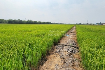 ที่ดิน 50-0-85 ไร่ ซอยวัดท่าเกวียน