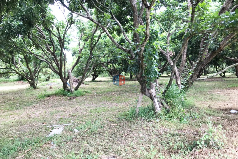 B0002-13