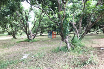 B0002-13