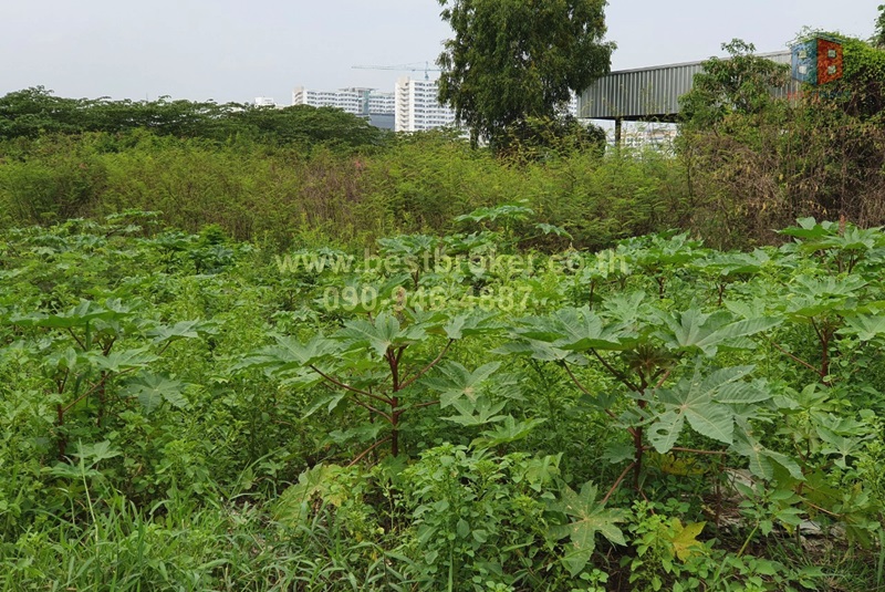 BB013-007