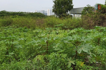 BB013-007