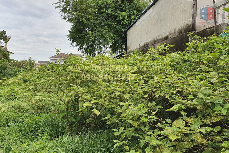 BB008-005