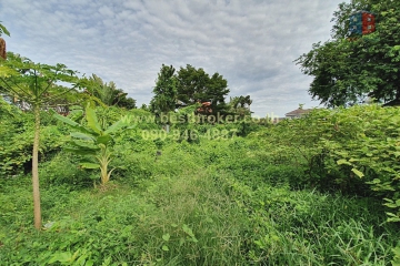 BB008-002