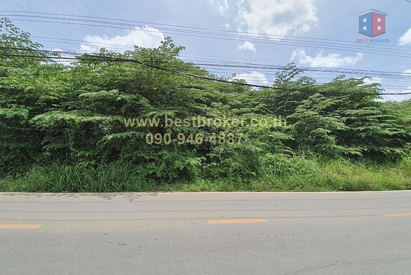 BB009-004