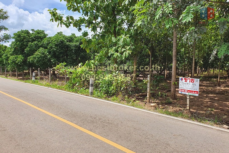 BB015-004