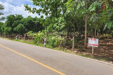 BB015-004