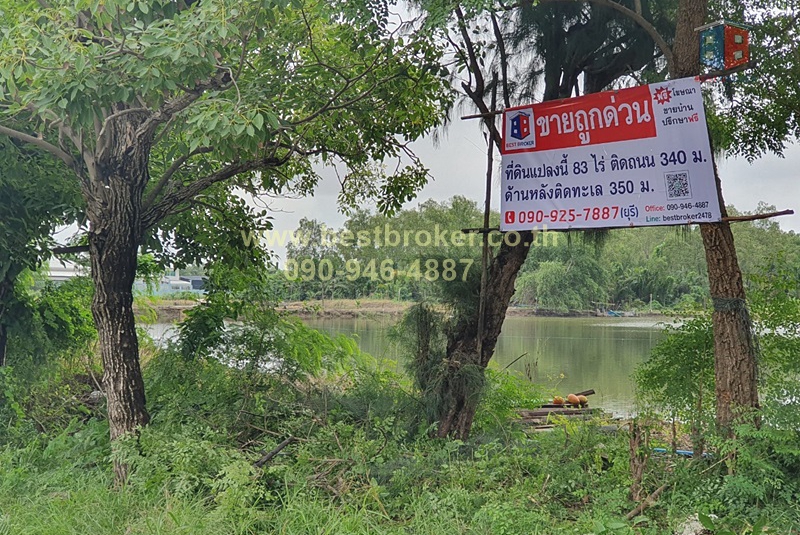 ที่ดินป้าใหญ่83ไร่ติดทะเลถนน.บางจะเกร็ง_๒๐๑๒๐๘_1