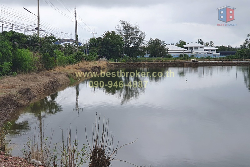 ที่ดินป้าใหญ่83ไร่ติดทะเลถนน.บางจะเกร็ง_๒๐๑๒๐๘_17