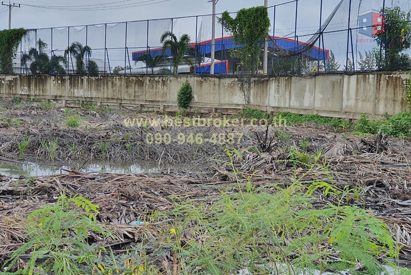 ที่ดินป้าใหญ่83ไร่ติดทะเลถนน.บางจะเกร็ง_๒๐๑๒๐๘_9
